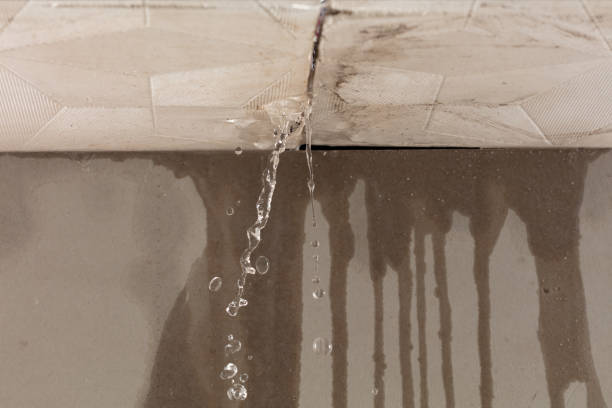 Professional Water Damage Repair technician working in Encinal, TX